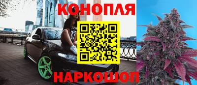 крисы Балаково