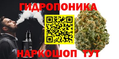 apvp Боровичи