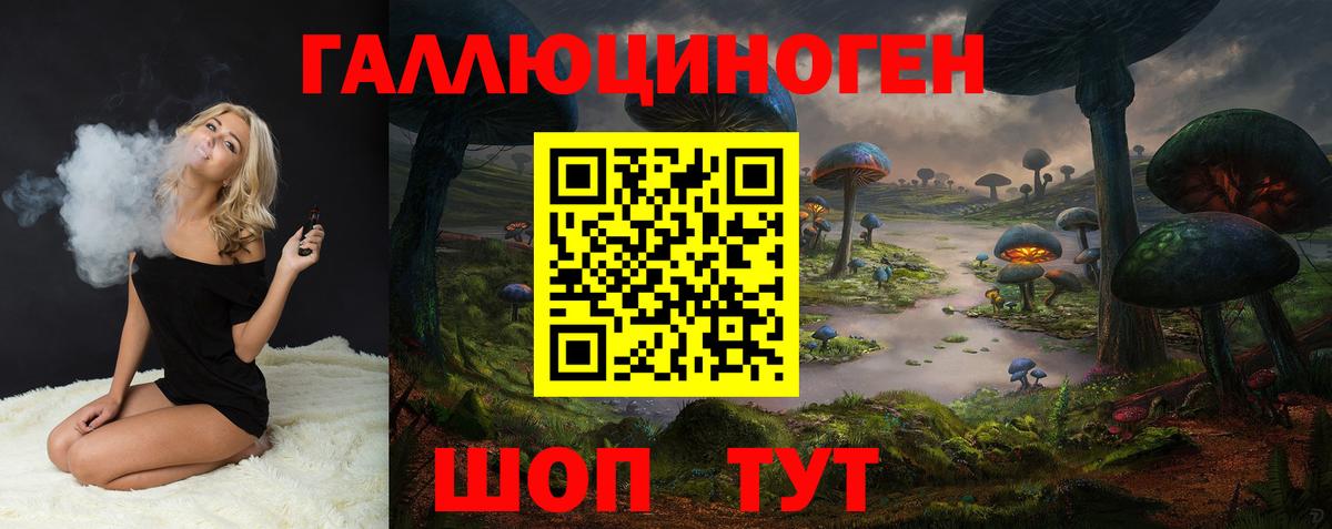 Галлюциногенные грибы Psilocybine cubensis Добрянка